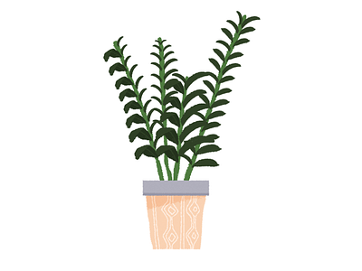 Zanzibar Gem cacti illustration plant plant based