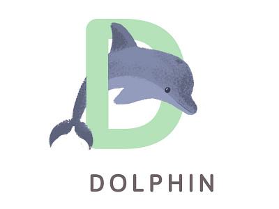 Dolphin Animal Alphabet animals dolphin illustration