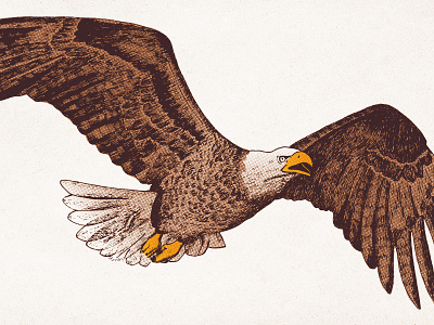 Bald Eagle bald eagle digital halftone illustration illustrator ink line art pen photoshop pop art