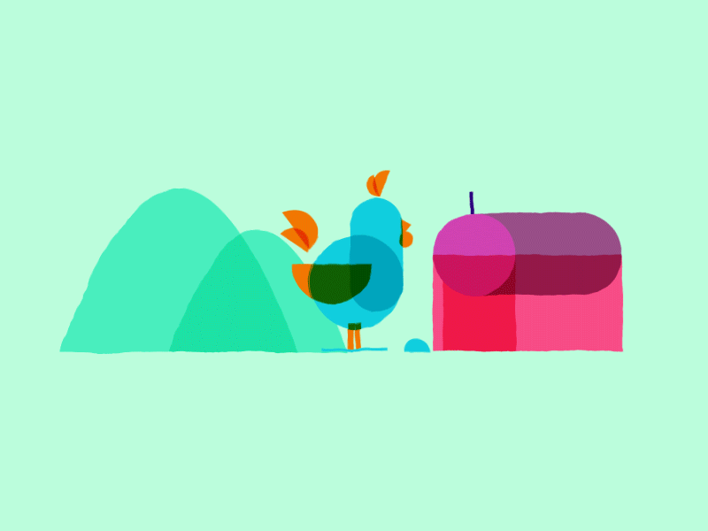 Gallo aftereffects animation flat gallo illustration motion