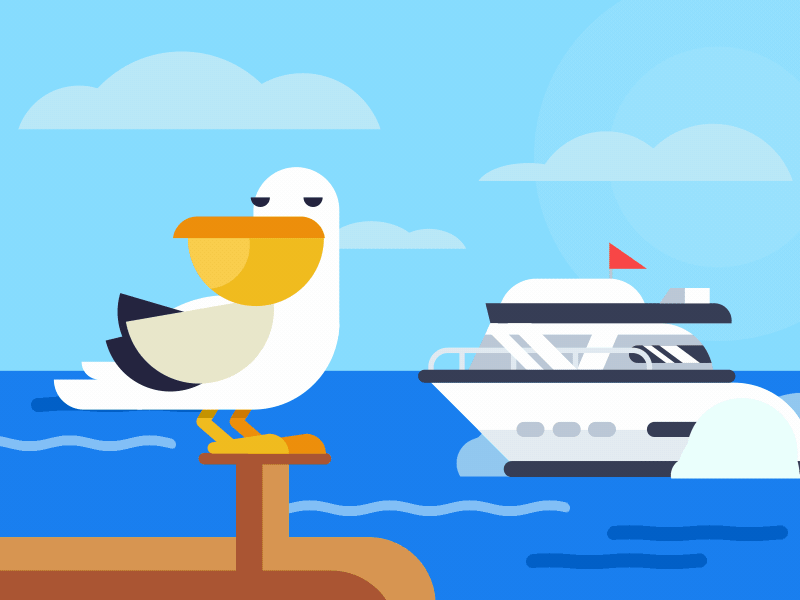 Pelican aftereffects animation boat design illustration pelican sea