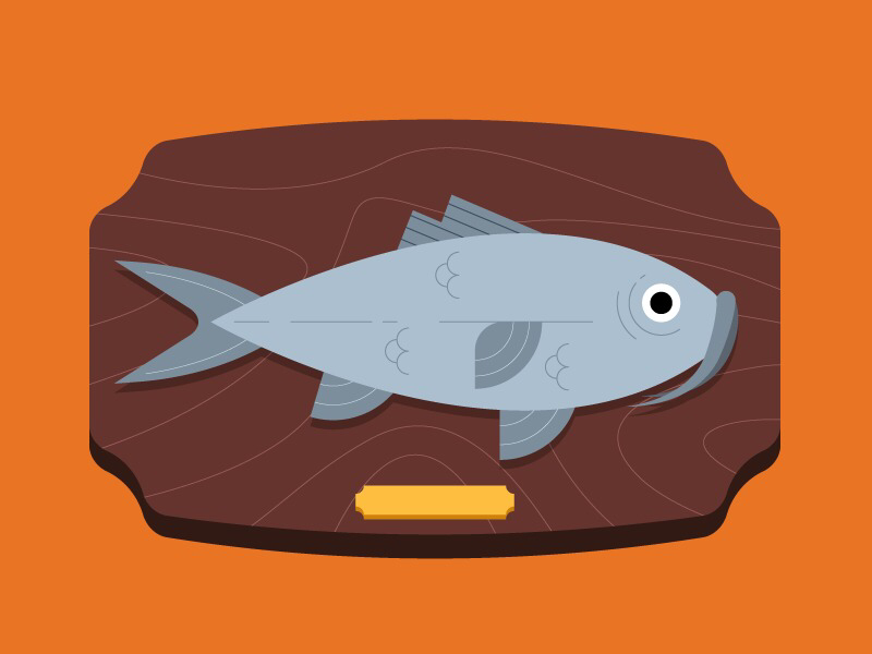 Todo se lo debemos al Bagre  bagre fish flat illustration illustrator sea