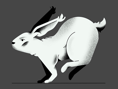 🐇🐇🐇 animation bunny characterdesign conejo design diseño flat illustration illustrator procreate procreate brushes vector