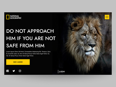 National Geographic animation branding design graphic design logo typography ui vector web design website