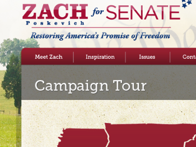 Zachforsenate insidepg