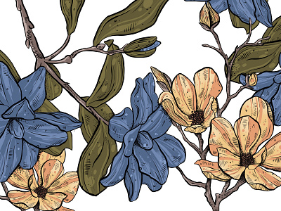 Blue & Peach flowers botanical illustration illustration pattern