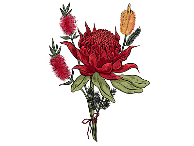 A bouquet with Australian flowers botanical illustration design illustration pattern