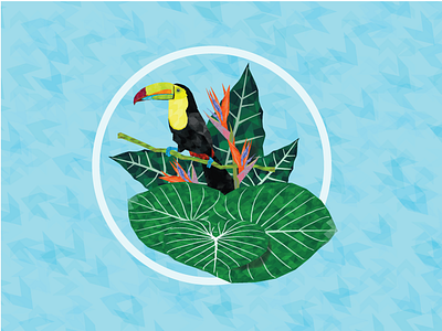 Toucan colorful illustration pattern toucan tropic bird tropic flower