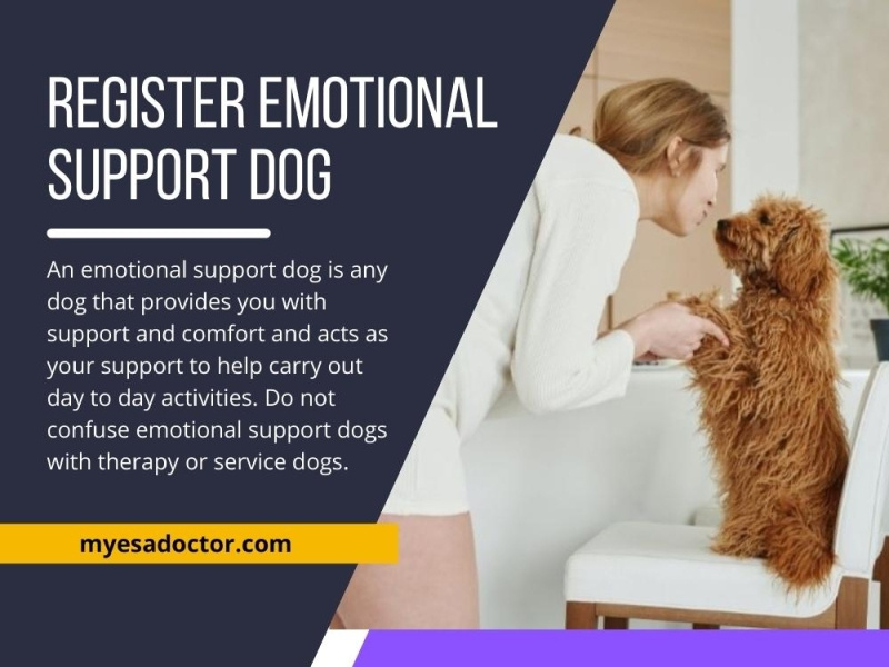 Register Emotional Support Dog by My ESA Doctor on Dribbble