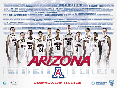 2013-14 Arizona Basketball poster