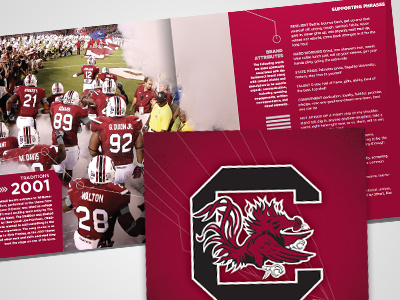 South Carolina Branding Book