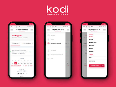 Kodi Professional - Account Menu design kodi kodi professional mobile ui ux web web design website