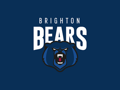 Brighton Bears Logo basketball bbl branding logo