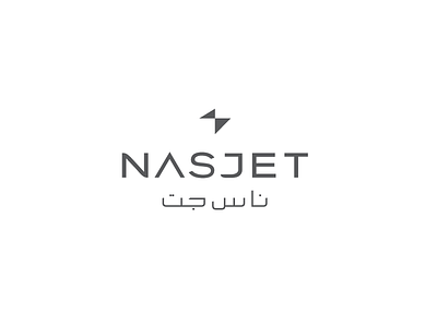 NasJet aircraft aviation flight gray grey jet logo luxury nas nasjet private jet saudi