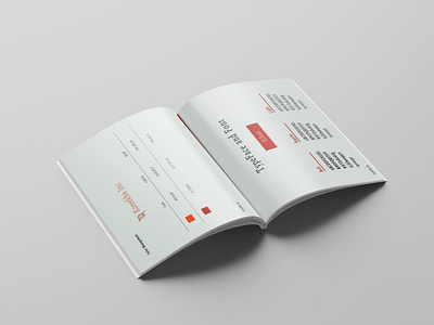 Typeface and Color Composition of Brand Guide brand guide brand style guide graphic design