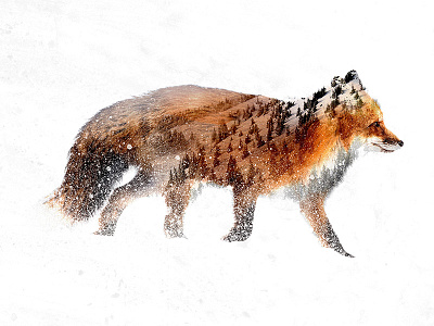 Double Exposure Fox design double exposure fox graphic design mountain snow woods