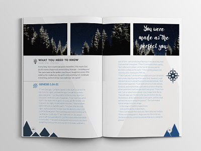 Devotional book design book design devo devotional journal layout mountains night stars trees