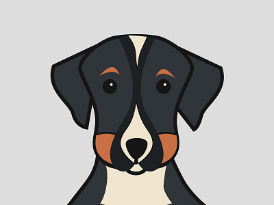 Aspen the Aussie adobe aussie austrialian shepherd clean cute design dog illustration line design puppy