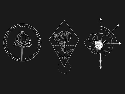 Floral Transformation anemone black and white design flat style floral flower flowers hand drawn illustration illustration line drawing minimal simple transformation