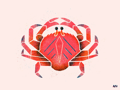 Dungeness Crab 3 color animal character crab creature design dungeness illustration nature ocean pacific pacific northwest pnw puget sound risograph sea sealife seattle washington state water