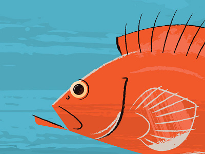 Seattle Aquarium - Rockfish animals aquarium illustration rockfish seattle vector washington wildlife