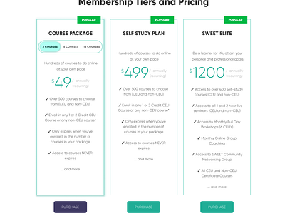 Pricing Table UI Design blue clean design figma graphic design mockup modern photoshop pricing pricing table table ui ux