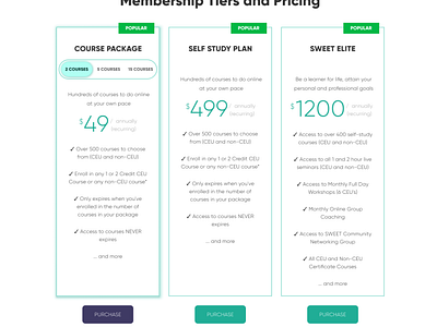 Pricing Table UI Design