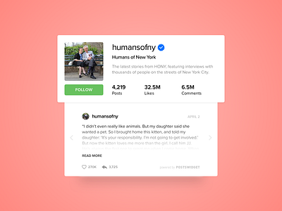 Minimal Profile and Posts Widget card clean humansofny instagram like posts profile sidebar ui widget
