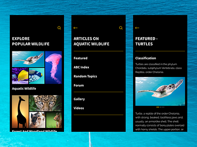 Wildlife Encyclopedia App - Complex Reduction UX aquatic complex reduction dark mode encyclopedia interface karti392 minimal ui ux wildlife