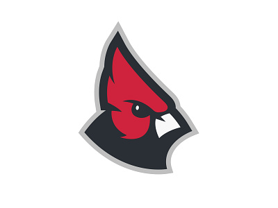Cardinal Logo bird cardinal logo sports