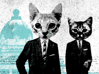 Caturday 1 business cats collage