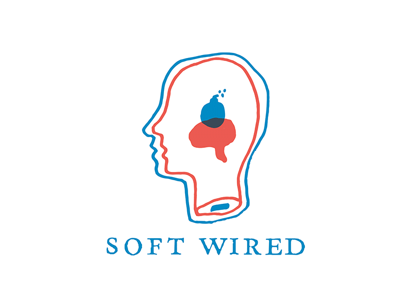 Soft Wired Animation blue brand branding hand drawn icon identity logo modular red