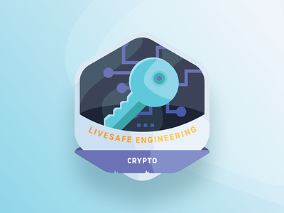 Crypto Icon app branding community design icon illustration safety security sketch ui ux vector