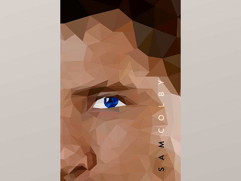 Sam Colby - book cover - draft bookcover book cover book cover tryptic design illustration geometric shapes