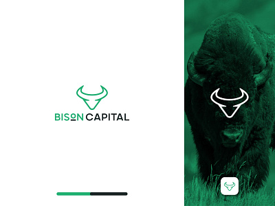 Bison Capital