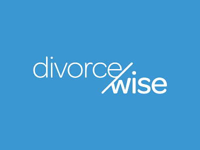 Divorcewise Logo branding logo typography