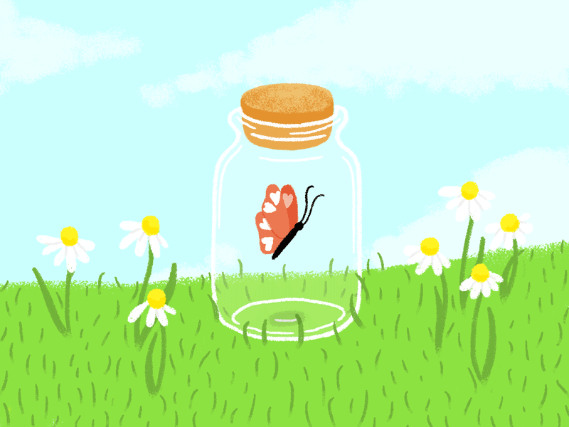 Butterfly Health animation butterfly cute daisies hand drawn illustration jar