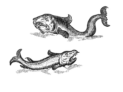 Cross-hatching illustration of fish