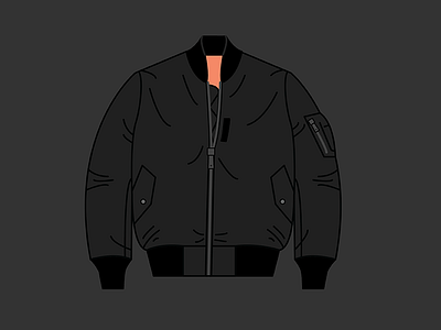 Pattern Recognition bomber illustration ma 1 vector william gibson