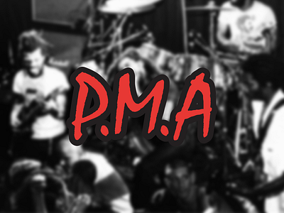 P.M.A bad brains nwa type vector