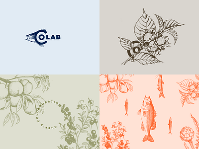 Colab Branding