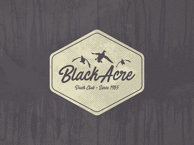 Black Acre Duck Club Logo animal bird black brand club duck fowl hunt hunting logo typography water