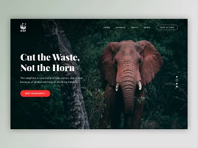 Saving Animals Campaign Site (Elephant) action animals apes campaign clean elephant hippo homepage horn landing page leopards lion protect rhino save saving tigers website whale wildlife