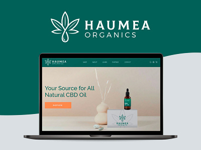 Website design Concept Organics