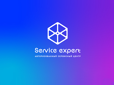 Service Expert authorized brand branding center font identity letter logo logotype service