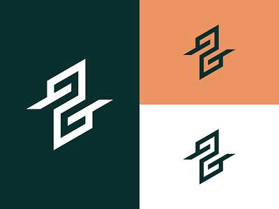 Z or ZG alphabet design letter logo logodesign monogram simple vector z zg