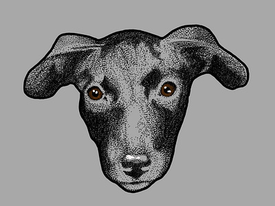 Puppy Django adobe dog dotwork illustration pet pointillism procerate puppy