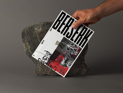 Berserk - Concept - book bookcover design graphic design illustration magazine typography