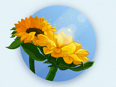 sunflower design illustration summer sunflower