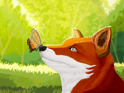 Fox June animal fox illustration summer